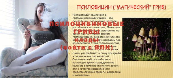 герыч Алексеевка