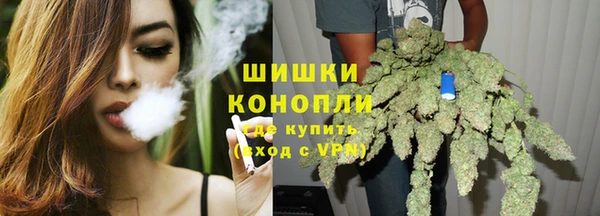 ПСИЛОЦИБИНОВЫЕ ГРИБЫ Алзамай